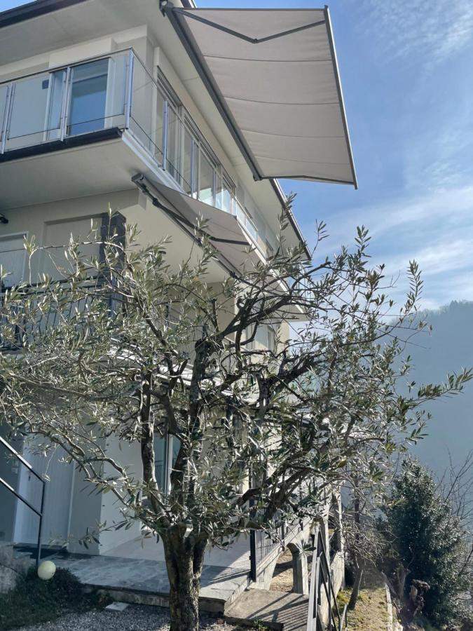 Casa Colmegna Mit Traumhaften See- Und Bergblick Luino Exterior photo